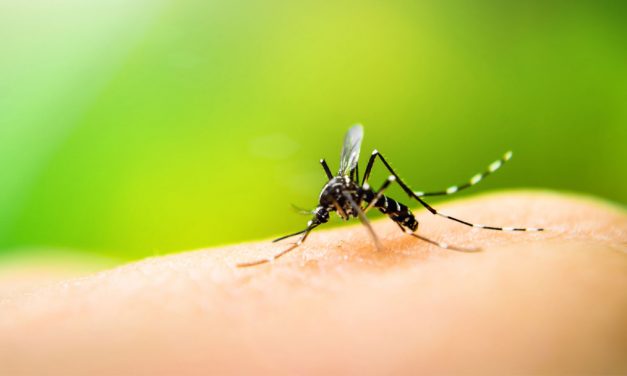 Registran 51 casos de dengue en la Mixteca