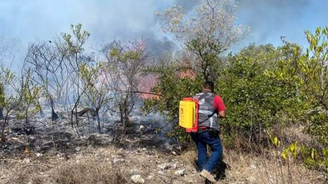 incendio arrasa con mas de 30 hectareas