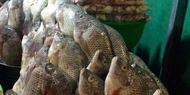 pescaderias esperan repunte de ventas por cuaresma