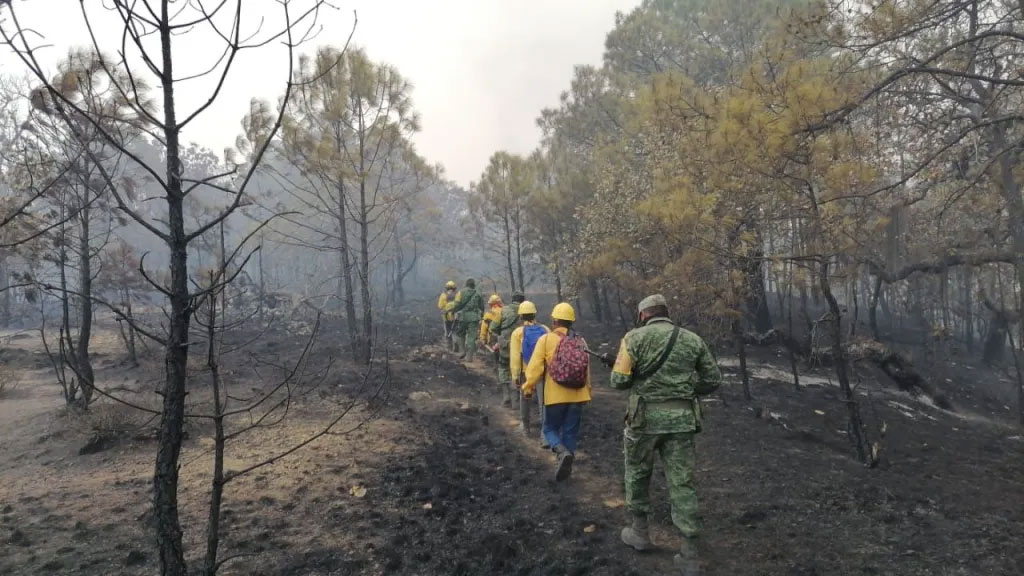 conflicto agrario posible causa del incendio forestal en