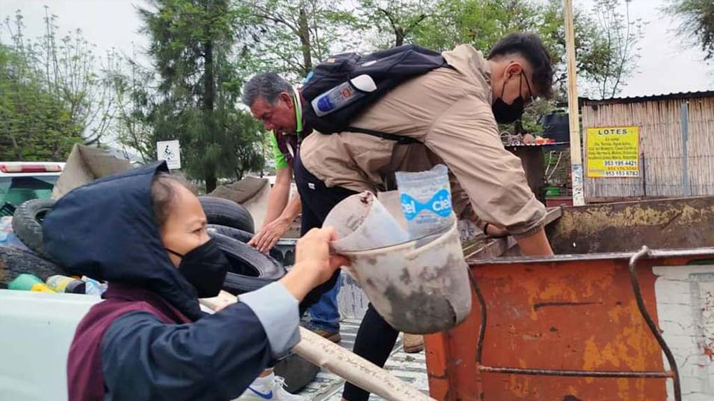 intensifican lucha contra el dengue