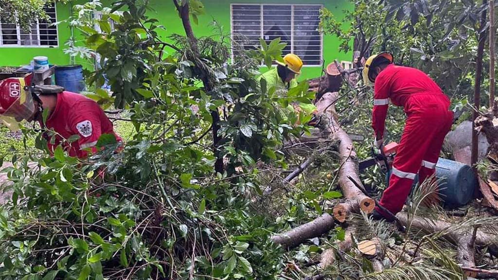 realizan acciones preventivas en parque independencia