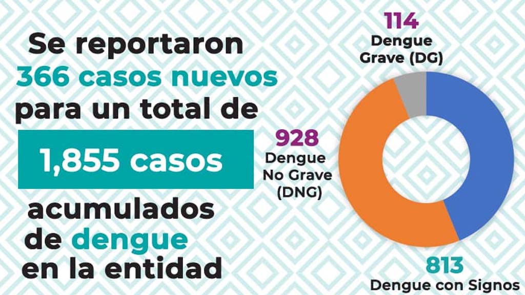 se registran dos casos nuevos de dengue en la