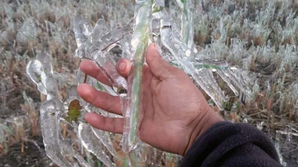 alertan a 80 municipios mixtecos por temporada de frio en la entidad