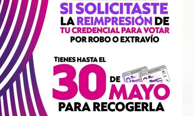 Concluye lapso para la reimpresión de credenciales para votar