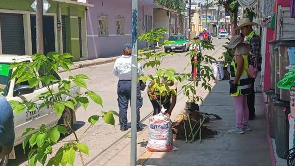 inicia-programa-de-arborizacion-en-el-centro inicia programa de arborizacion en el centro