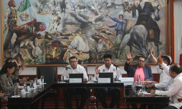 Buscan preservar árboles históricos y longevos en Huajuapan