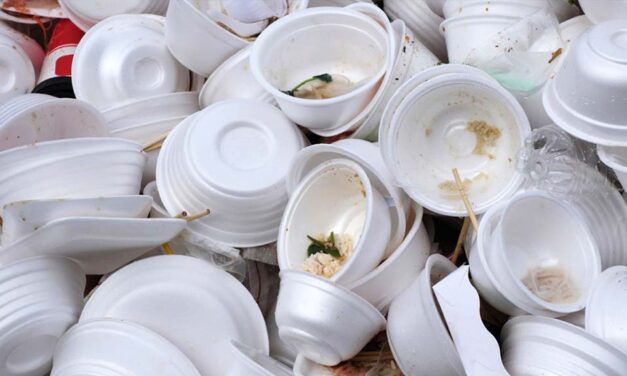 Buscan reducir 14 toneladas de unicel en Expo Feria