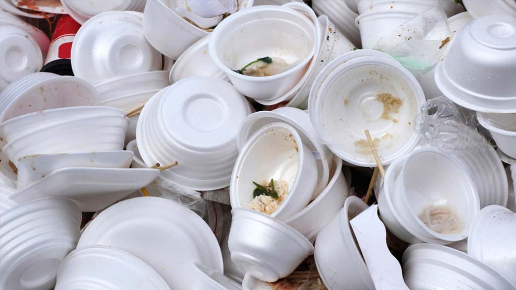 buscan reducir 14 toneladas de unicel en expo feria