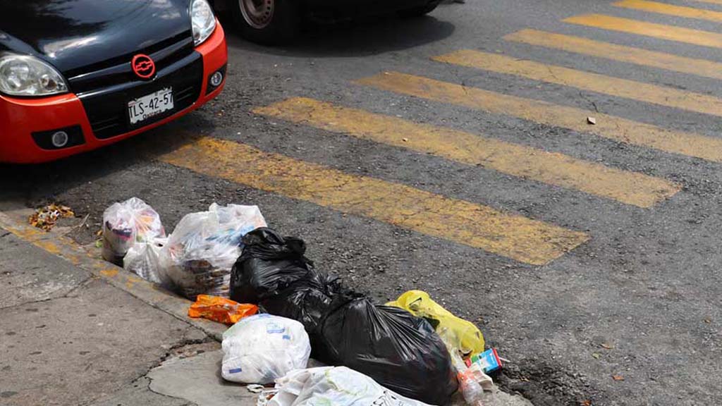 sancionaran a personas que saquen su basura en dias y horarios no establecidos