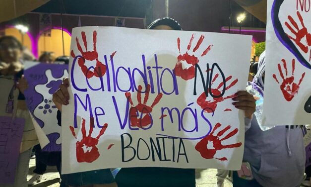 Marea Verde respalda Reforma al Código Penal que tipifica el acecho como delito