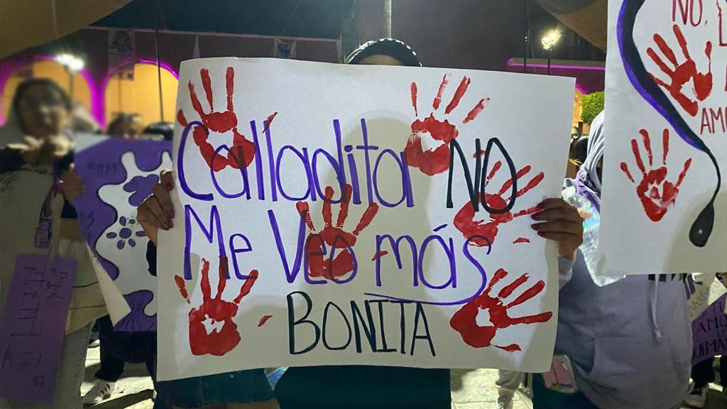 marea verde respalda reforma al codigo penal que tipifica el acecho como delito