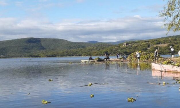 Continúan trabajos para retirar azolve en presa de Yosocuta