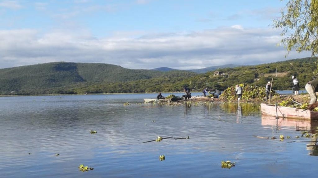 continuan trabajos para retirar azolve en presa de yosocuta