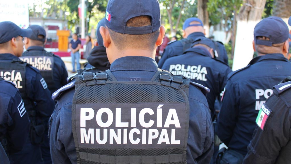 seguridad publica reporta tendencia a la baja en casos de violencia familiar