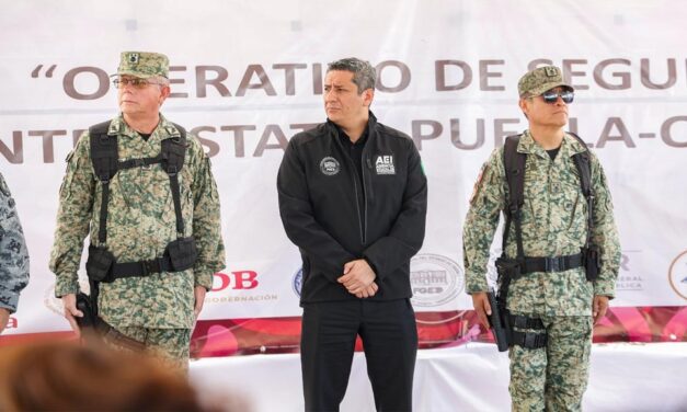 Operan 7 células criminales en límite Oaxaca – Puebla