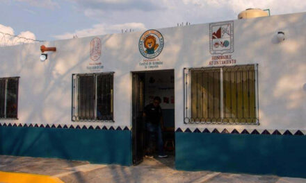 Inauguran albergue canino y felino en Huajuapan