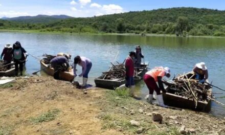 Limpieza en río mixteco redujo llegada de plásticos a presa de Yosocuta