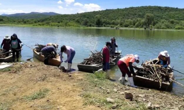 Limpieza en río mixteco redujo llegada de plásticos a presa de Yosocuta