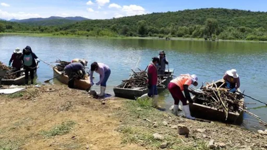 limpieza en rio mixteco redujo llegada de plasticos a presa de yosocuta
