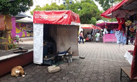 «Nos quieren chingar»: Boleros denuncian hostigamiento y cobro excesivo del Ayuntamiento
