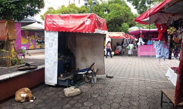 «Nos quieren chingar»: Boleros denuncian hostigamiento y cobro excesivo del Ayuntamiento
