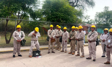 Mixteca registra baja histórica en casos de dengue
