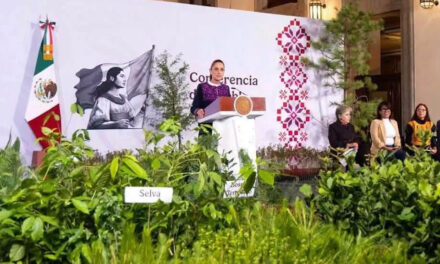 Se suma Mixteca a Mega Tequio Nacional de Reforestación convocado por Presidenta Sheinbaum