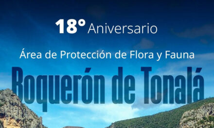 Boquerón de Tonalá conserva su riqueza biocultural en la Mixteca