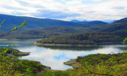 Presa registra el 80 por ciento de su capacidad, pide SAPAHUA cuidar el agua