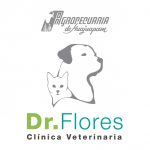 Agropecuaria de Huajuapan del Dr. Flores