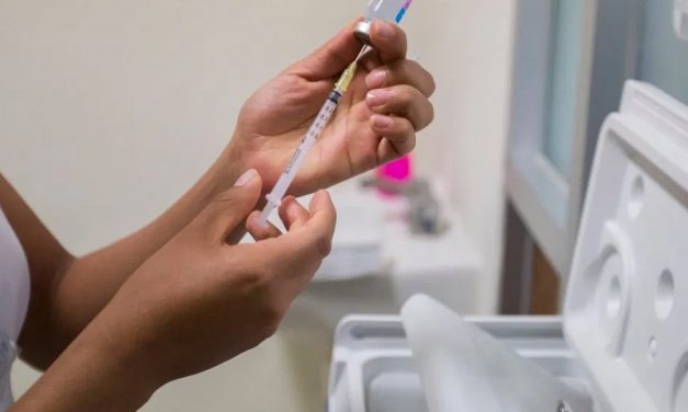 Vacunas anticovid aún están en fase de experimentación