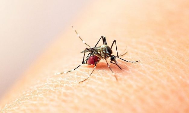 Confirman primer caso de dengue en la Mixteca
