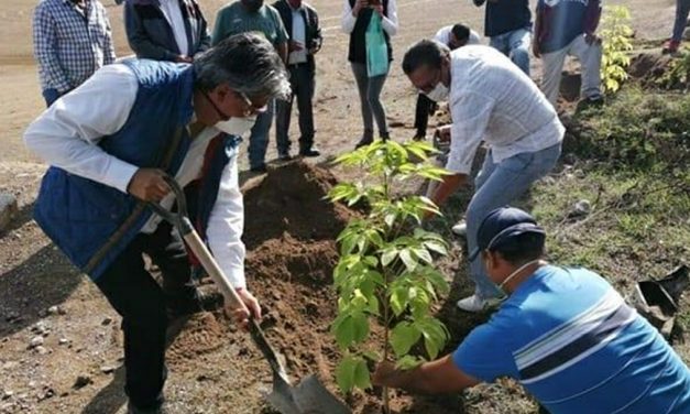 Buscan evitar la degradación de suelos