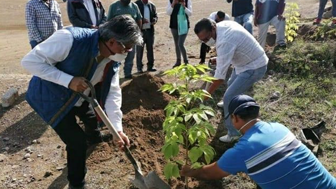 buscan-evitar-la-degradacion-de-suelos