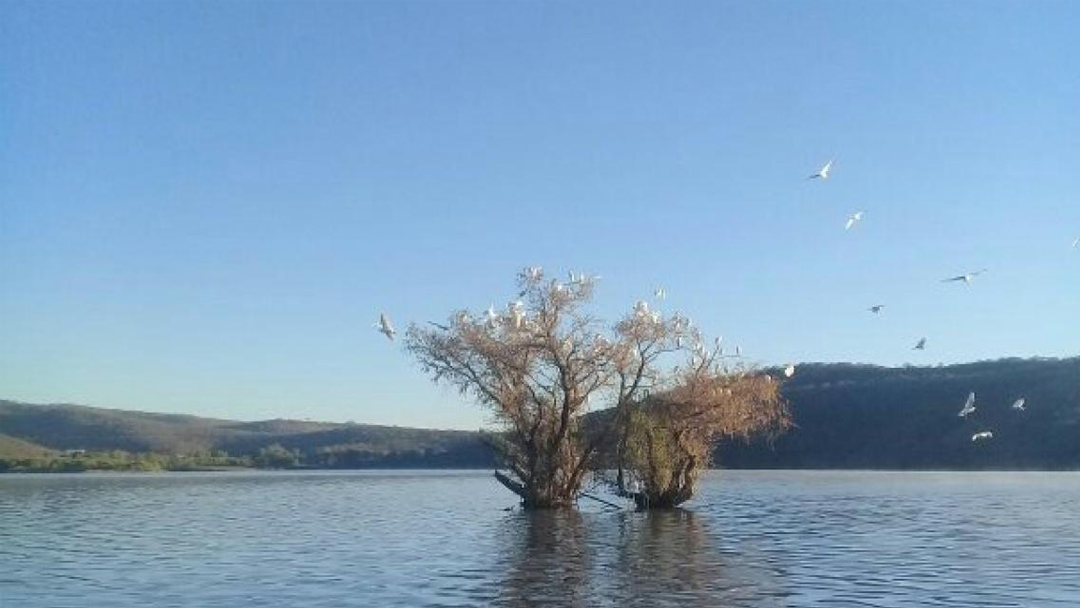 presa de-yosocuta-rebasada-en-su-capacidad