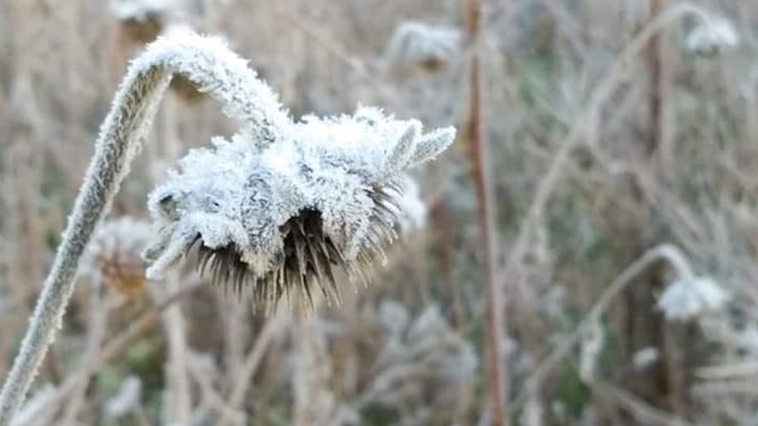 frente-frio-16-afecta-a-municipios-de-la-mixteca
