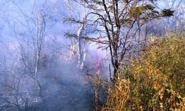Fuego arrasa con pastizales y árboles en Chilixtlahuaca