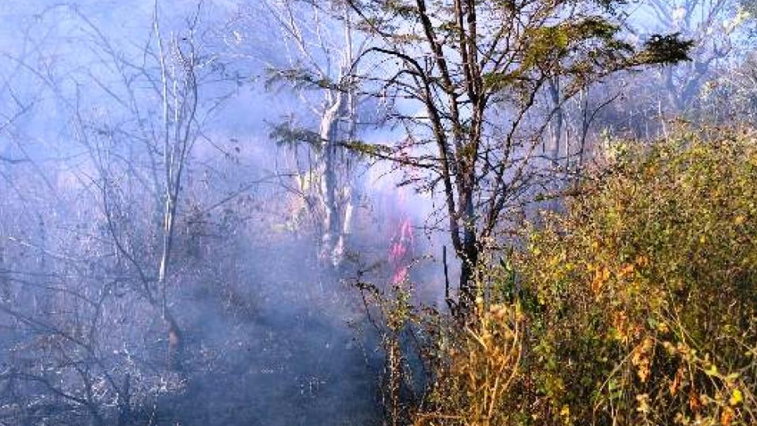 fuego-arrasa-con-pastizales-y-arboles-en-chilixtlahuaca