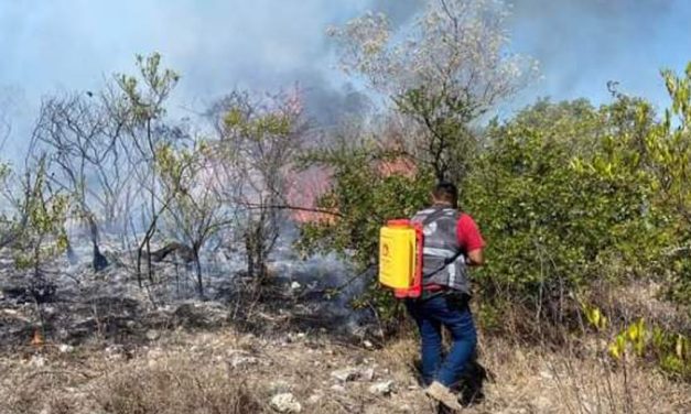 Incendio arrasa con más de 30 hectáreas