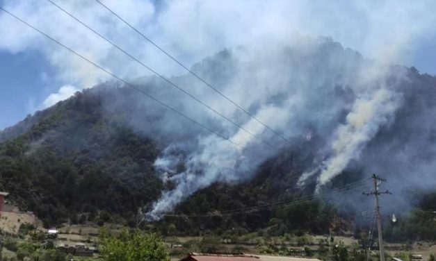 Cuatro víctimas deja incendio en Magdalena Peñasco