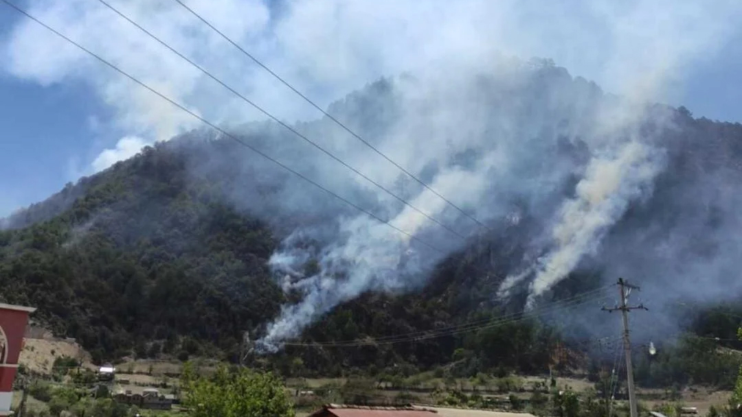 cuatro-victimas-deja-incendio-en-magdalena-peniasco