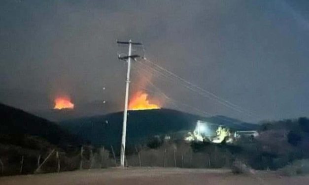 Piden apoyo aéreo para sofocar incendio en Tlapancingo