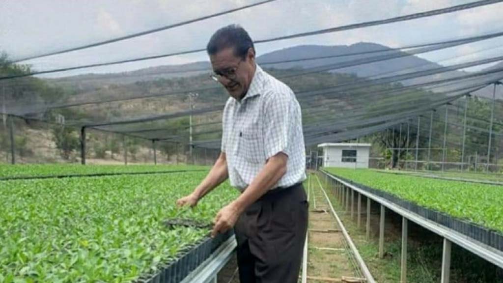 reforestaran-con-mas-de-400-mil-plantas-endemicas