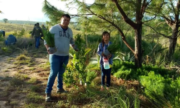 Realizan reforestación masiva en Huajuapan