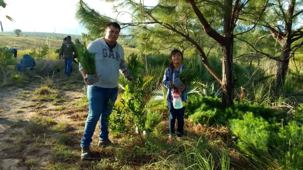realizan-reforestacion-masiva-en-huajuapan