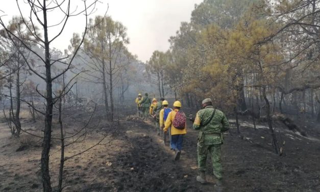 Conflicto agrario posible causa del incendio forestal en Mixtepec