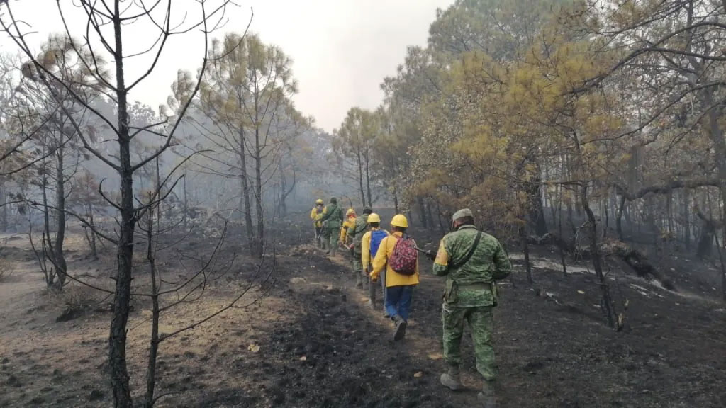 conflicto-agrario-posible-causa-del-incendio-forestal-en-mixtepec
