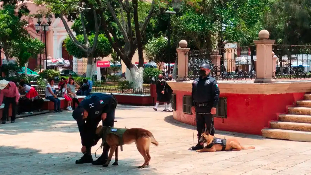 binomios-caninos-reforzaran-prevencion-y-seguridad-publica-